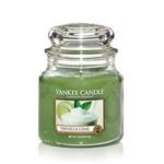 Yankee Candle Candela profumata in giara media | Calce alla vaniglia | Durata Fino a 75 Ore
