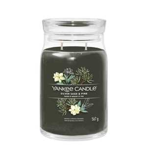 Idee regalo Giara Grande Signature Silver Sage & Pine Yankee Candle