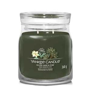 Idee regalo Giara Media Signature Siver Sage & Pine Yankee Candle