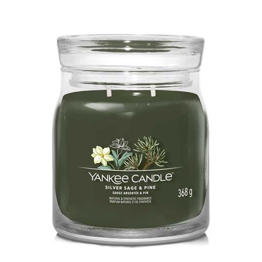 Giara Media Signature Siver Sage & Pine