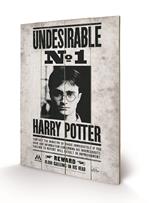 Stampa su legno 59 x 40 cm Harry Potter. Undesirable No1