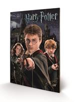 Stampa su legno 59 x 40 cm Harry Potter. Harry Ron Hermione