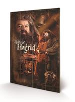 Stampa su legno 59 x 40 cm Harry Potter. Hagrid