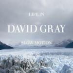 Life in Slow Motion - CD Audio di David Gray
