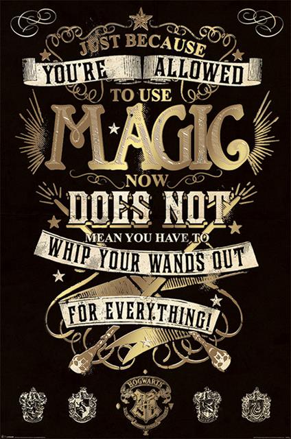 Poster Harry Potter. Magic