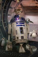 Poster Maxi 61X91,5 Cm Star Wars The Last Jedi. R2-D2 & Porgs