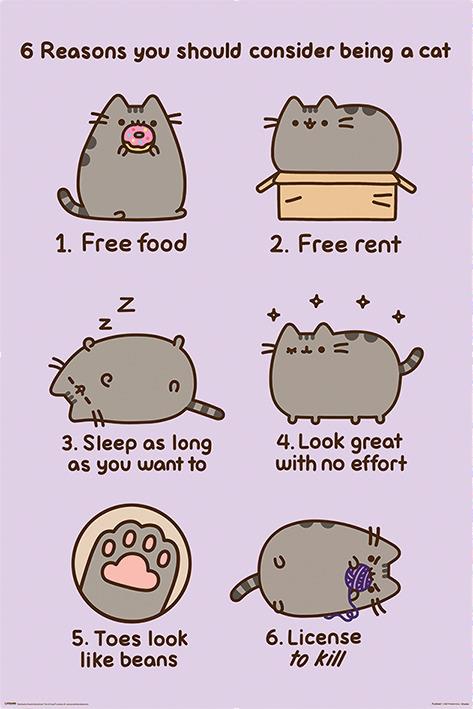 Poster Maxi 61X91,5 Cm Pusheen. Reasons To Be A Cat