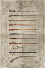 Poster Harry Potter The Wand Chooses The Wizard Maxi