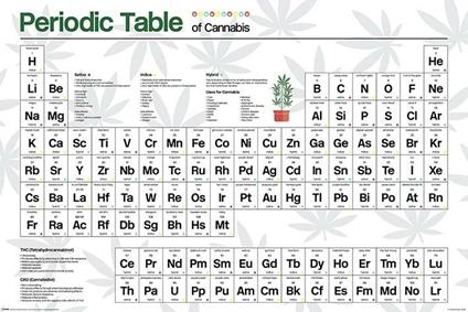 Poster 61X91,5 Cm. Periodic Table Of Cannabis