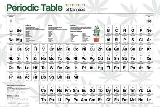 Poster 61X91,5 Cm. Periodic Table Of Cannabis