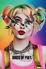 Poster 61X91,5 Cm. Birds Of Prey: Seeing Stars