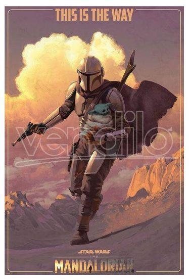 Poster The Mandalorian On The Run poster