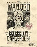 Poster Fantastic Beasts. Extremely Dangerous