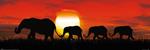 Poster Slim 30X91,5 Cm Sunset Elephants