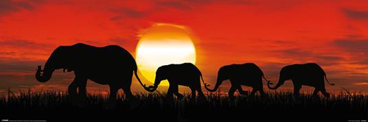 Poster Slim 30X91,5 Cm Sunset Elephants