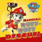 Stampa Su Tela Paw Patrol Marshell 30X30