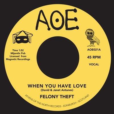 Felony Theft - When You Have Love / Run For Cover (7") - Vinile 7''