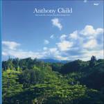 Electronic Maui vol.2 - Vinile LP di Anthony Child