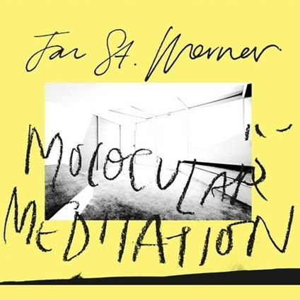 Molocular Meditation - Vinile LP di Jan St. Werner