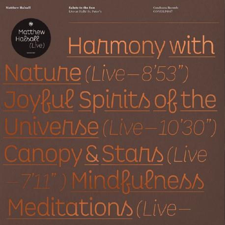Salute To The Sun/Live At Halle St Peters - Vinile LP di Matthew Halsall