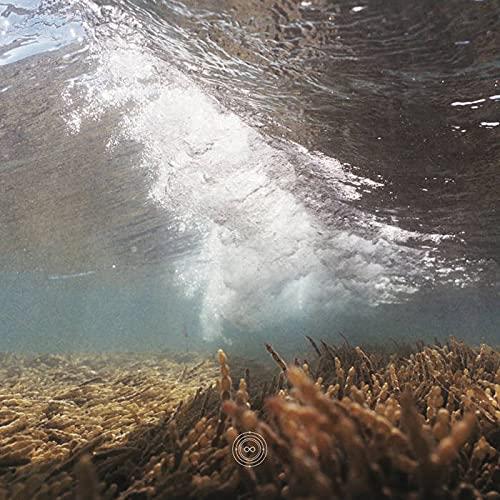 Pulchra Es Elemntis - Vinile LP di Galtier