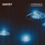Strings Feat Novak Manojlovic