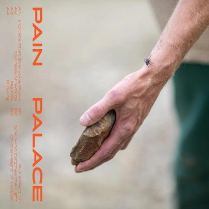 Pain Palace - Vinile LP di Pain Palace