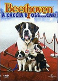 Beethoven a caccia di Oss...car! (DVD) di Mike Elliott - DVD