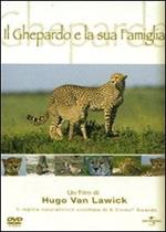 Il ghepardo e la sua famiglia (DVD)