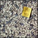 Iodine - CD Audio di Half Cousin