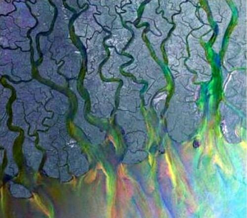 An Awesome Wave (Deluxe Edition) - CD Audio + DVD di Alt-J