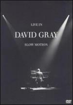 David Gray. Live In Slow Motion (DVD)