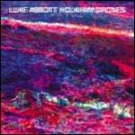 Holkham Drones - CD Audio di Luke Abbott