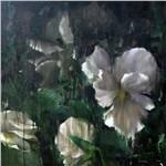 Kourouma - CD Audio di Angéle David-Guillou