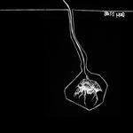 Brood Star Ep (Limited Edition)