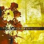 Accessoires. Rarities and B-Sides - CD Audio di Gathering
