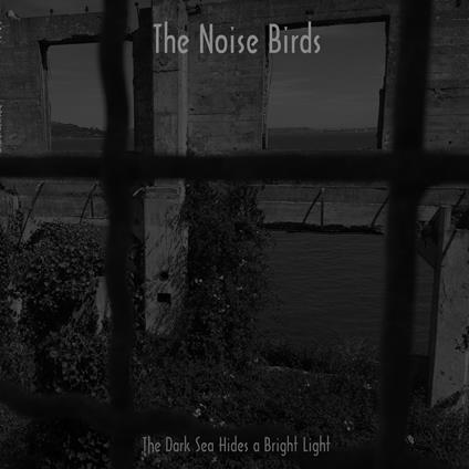 The Dark Sea Hides a Bright Light - Vinile LP di Noise Birds