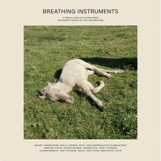 Breathing Instruments - Vinile LP