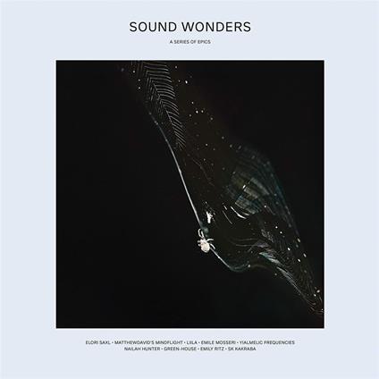 Sound Wonders - Vinile LP