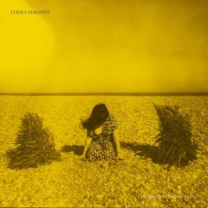 Imprecation Of Anima - Vinile LP di Codex Serafini