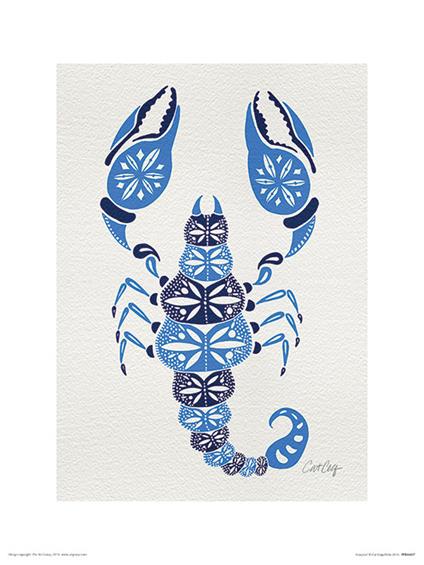 Stampa 30X40 Cat Coquillette Scorpion