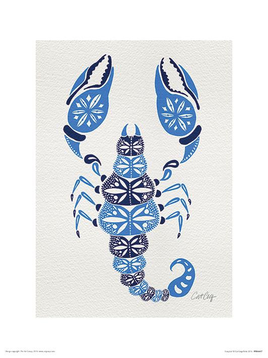 Stampa 30X40 Cat Coquillette Scorpion