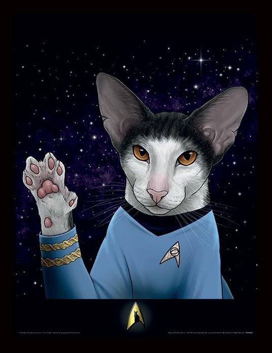 Spock Paw Star Trek Cats Memorabillia Range
