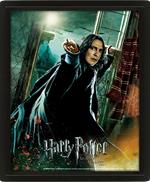 Quadro 3D Harry Potter Snape