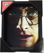 Harry Potter - Harry Vs Voldemort 3D Lenticular Poster 25x20 Cm