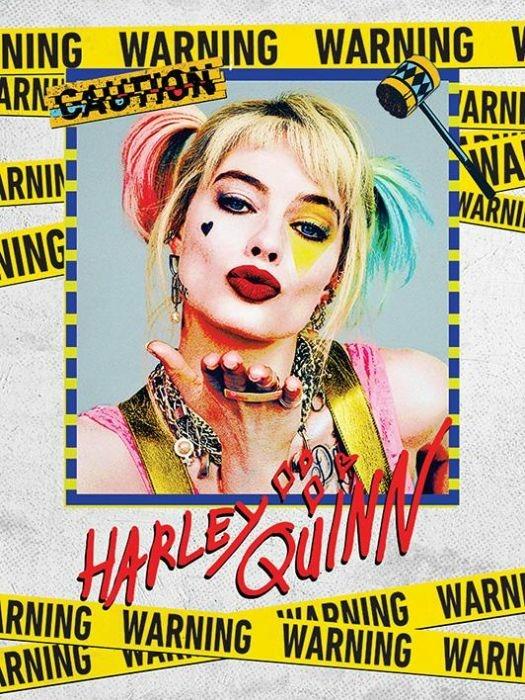 Stampa Su Tela 30X40 Cm Dc Comics Birds Of Prey Harley Quinn Warning