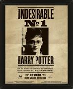 Poster Lenticolare 3D Harry Potter Potter Sirius Loose 10X8 3D