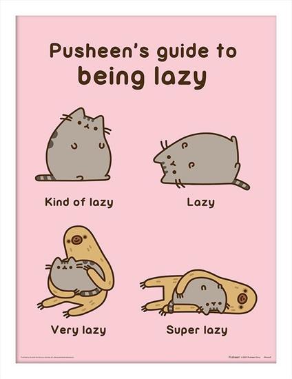 Stampa In Cornice Pusheen Guide To Being Lazy White Frame