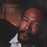 Marvin Gaye