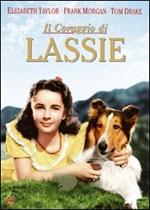 Il coraggio di Lassie (DVD)